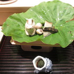 一番右がアワビ