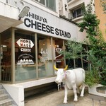 SHIBUYA CHEESE STAND - 