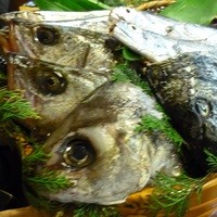 魚めし 竹亭 - 