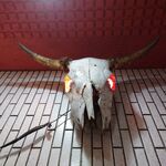 一条流がんこ総本家分家四谷荒木町 - 