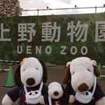 上野動物園 バードソング - つぬっこ＆ちびつぬ＆お友だちのぬぬちゃんだよ！ぬぬちゃんとは昨日、晩ご飯を一緒に食べて、今日は朝から上野動物園に行くお約束してたの。ぬぬ「お洋服もバッグもお揃いだぜ」ちびつぬ「おそろ～」
