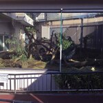 上野動物園 バードソング - まずはシャンシャンがいる小庭から観覧スタート！ぬぬ「んー？シャンシャンいないのかなぁ・・・」