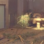 上野動物園 バードソング - 3回目の観覧。シャンシャンはお昼寝タイムに入っちゃったみたい。お昼ごはんのあとは眠くなっちゃうよね～ぬぬ「後ろ足の形が面白いね」