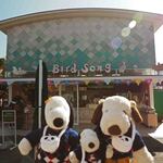 お昼ごはんは園内でいただくことに。東園にある藤棚休憩所売店『バードソング』だよ。