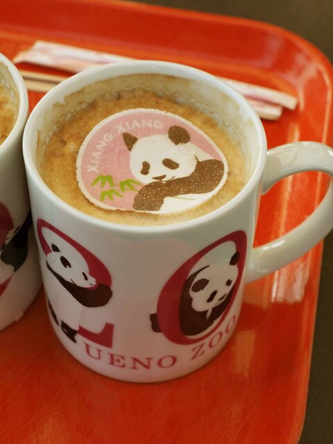 上野動物園 カフェカメレオン 不忍池テラス売店 京成上野 レストラン その他 食べログ