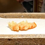 日本橋 蕎ノ字 - 車えび 1 (レア)