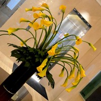 エスキス - いけばなでこころほぐされる。