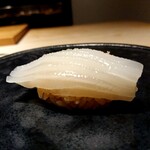鮨 唐島 - ヤリイカ