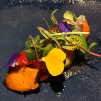 YAKITORI 燃 es - サラダ