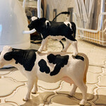 カフェ パトリシア - 