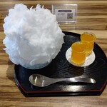 初雪堂 - 【2021.8.12(木)】かき氷(夕張メロン)1,195円