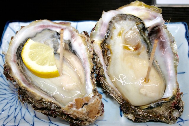 道の駅舞鶴港とれとれセンター 西舞鶴 魚介料理 海鮮料理 食べログ 道の駅舞鶴港とれとれセンター 西舞鶴 魚介料理 海鮮料理 食べログ