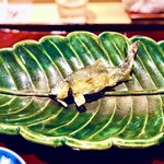 銀座 しのはら - ◎鮎の塩焼き（２品目…琵琶湖）…こちらの方が脂がのっている。