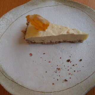 ソウル ツリー_1