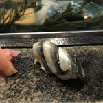 鮨 寿海つばさ - 