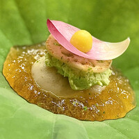 道人 - ①先付〜うほっ、見た目も鮮やかな新緑の蓮の葉。蓮餅、お出汁のジュレ、茶豆のズンダ、酢漬け蓮根、鬼灯トマト。崩すのが勿体ないな〜。「花びらは飾りです」（ご主人談・・・笑）