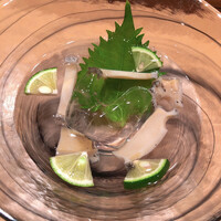 松栄 恵比寿本店 - 