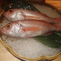 泉岳寺門前 紋屋 - 