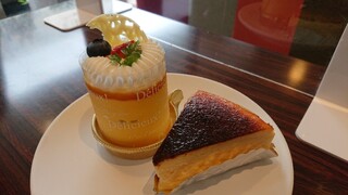 パティスリー シュクレ - マンゴーとパンナコッタのケーキとバスクチーズケーキ