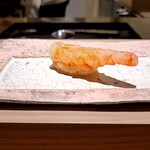 島津 - ボタン海老