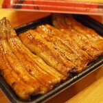 Unagi Takizawa - 