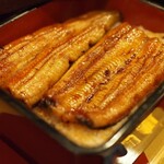 Unagi Takizawa - 