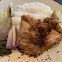coci - 