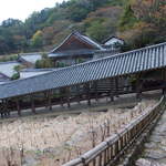 総本山長谷寺 喫茶去 - 矢印に従って登っていきます(ﾉ*^▽^*)ﾉ