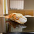 鮨 田なべ - 料理写真:きんき炙り（網走）
ぷりんとした身は抜群の脂が乗り、炙ることであふれる旨味と香ばしさがシャリと見事な一体感を生み出します。これは美味しい！