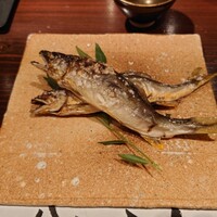 たでの葉 - （上）岐阜県高原川の天然鮎、（下）熊本県川辺川の天然鮎