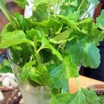 うちのおかん時々おとん - 朝採り野菜盛り