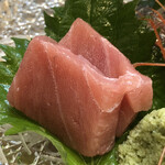 醍醐 - マグロ中トロ