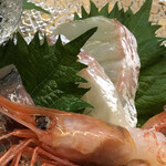 醍醐 - こぶじめ鯛