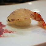 鮨 井上 - 車海老