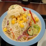 Matsuya - ごろごろ野菜のうまトマハンバーグ定食ポテサラセット