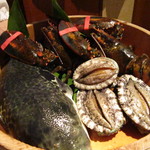 舞桜 - 本日の食材河豚・鮑・ロブスター