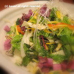 軍鶏十番 - 有機野菜サラダ　880円