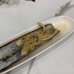 Mellben Signature - バンブー貝