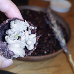 communico - トルタフリッタ（鴨のレバーペースト）