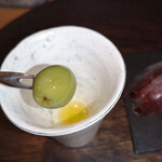 communico - ヤマトタチバナ（大和橘）　