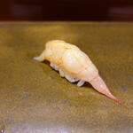 鮨匠 のむら - 波管髭海老(鹿児島県錦江湾産、210m)