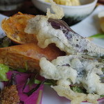 マガザンプラス - カレー風味の春巻&金時草の天ぷら