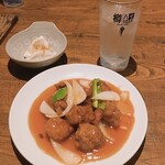 Shisen Ryouri Kyou Dai - 水餃子/酢豚