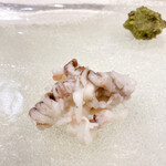 うを徳 - 新烏賊のゲソ