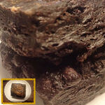 小さなパン屋かぎしっぽ - ブラックココアとチョコレートのスコーン　表面のココアパウダーだけでない「生地もすごいココア味」　程よい甘さ。チョコクリーム＆チョコチップの多層構造ミャったのか！！