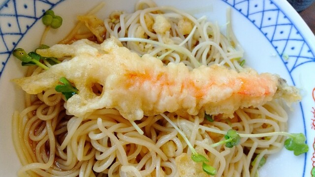 そば処 両國 本店 - 塩谷（そば）の写真