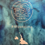 PAINAGAMA BLUEBOOTH - 