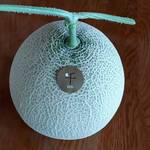 ちはる農園 - 千葉快晴メロン 2.5kg玉