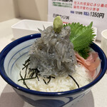 お食事処 渡舟 - 生しらすたっぷり丼 1,000円