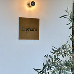 Lignum - 